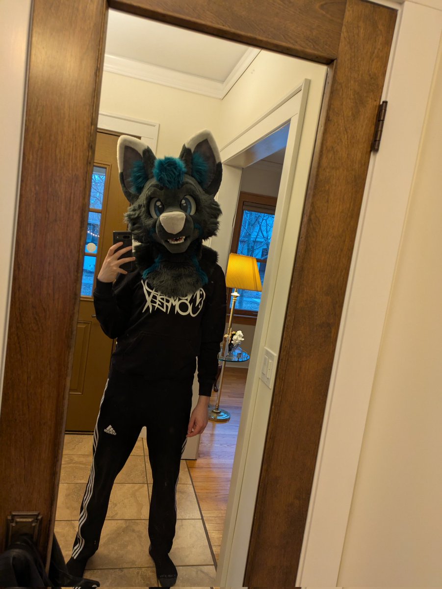 I'm home for spring break...come to find out my dog Norman does not fuck with my fursuit :(