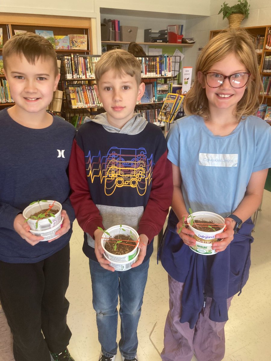 Chinook's Edge (@cesd73) on Twitter photo Reed Ranch students (aka scientists) are trying to discover what tomato plants are growing from seeds that have been in space vs. seeds that never left Earth?
Seeds came from <a href="/LetsTalkScience/">Let's Talk Science</a> which runs the Tomatosphere program.
#CESDAcademicExcellence
cesd73.ca/about/news/pos… Reed Ranch students (aka scientists) are trying to discover what tomato plants are growing from seeds that have been in space vs. seeds that never left Earth?
Seeds came from <a href="/LetsTalkScience/">Let's Talk Science</a> which runs the Tomatosphere program.
#CESDAcademicExcellence
cesd73.ca/about/news/pos…