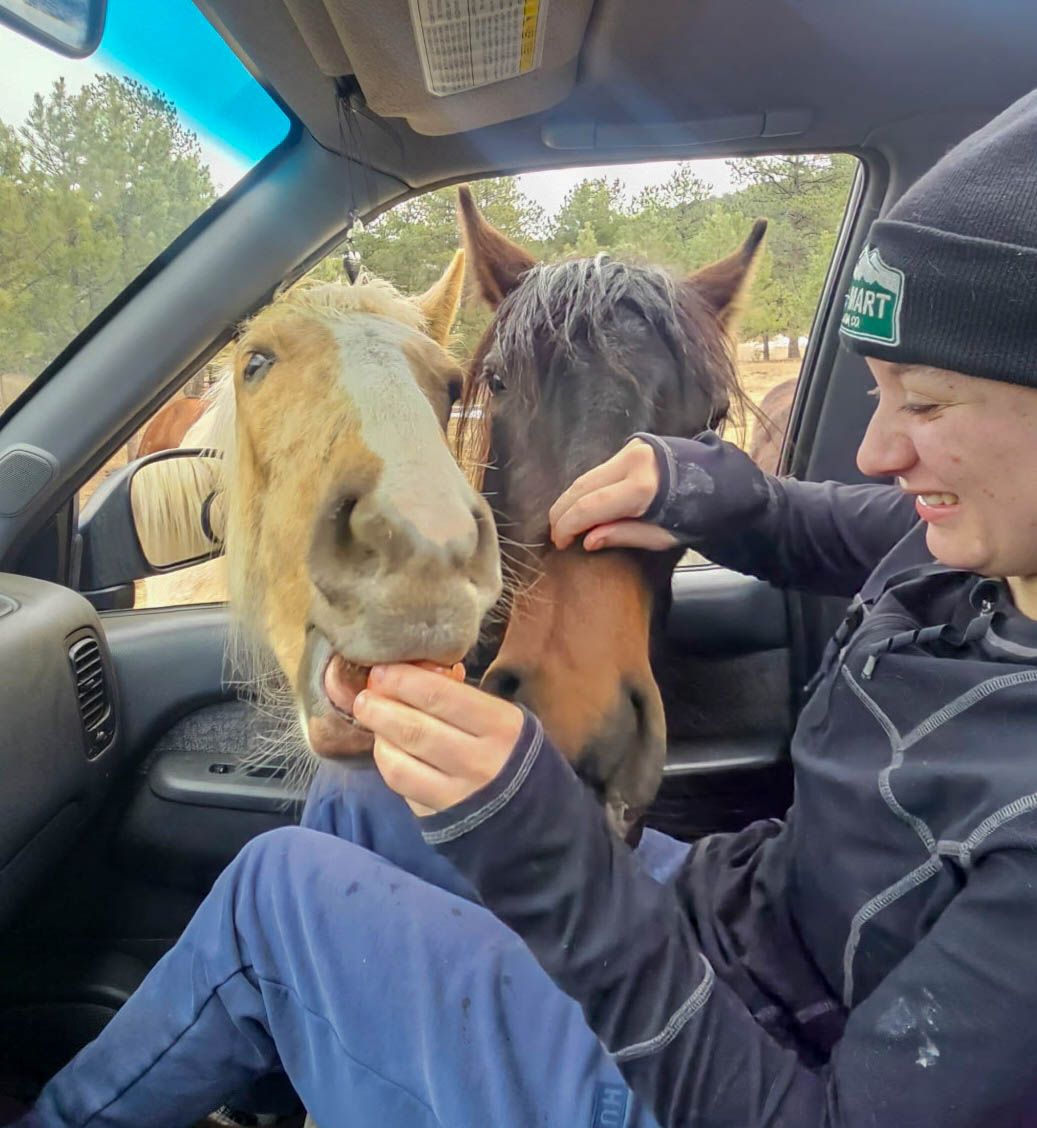 Resqranch's tweet photo. The fillies are losing their minds with BIRTHDAY EXCITEMENT!  Join us for their 2nd birthday on March 30th at Noon!  Join in-person or live on YouTube! Get an invitation to their birthday party here: https://t.co/Y0dCiwmgK1 #resqranch #filliesbirthday #DrQ https://t.co/DJYOxi7yfl