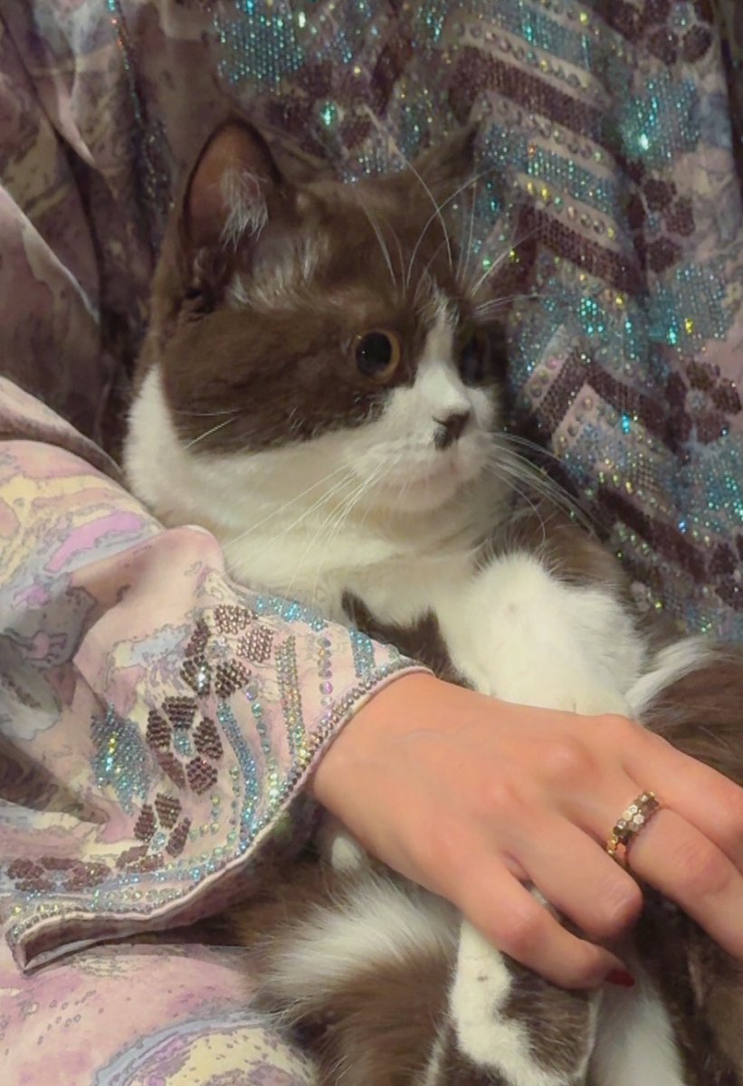 احلى صور صورتها من دخل رمضان :