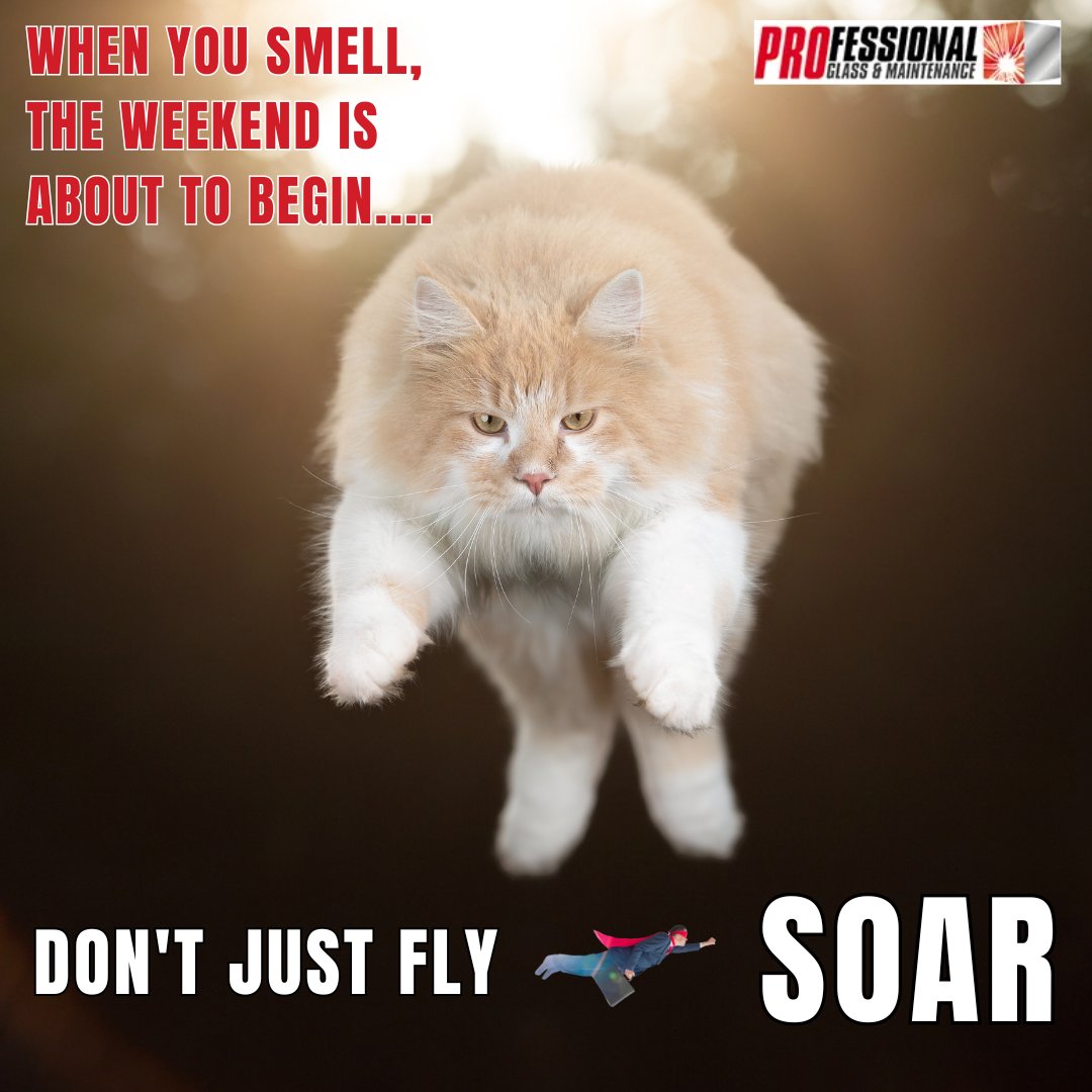 proglassperth's tweet image. When you smell that weekend freedom… It’s time to take off. 🚀🎊

Feel free to call us on 08 9463 0073 or send us quick email admin@professionalglass.com.au

#PerthGlass #GlassPerth #GlassArtWA #CustomGlassDesigns #GlassCraftsmanship