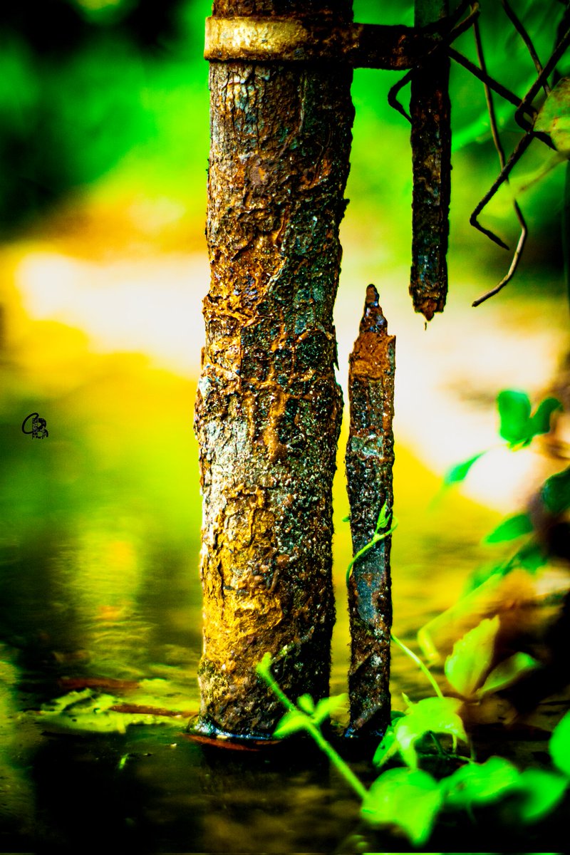 Bameron_'s tweet image. Attachments
#wasteoftime 
#rust
#erode
#erosion