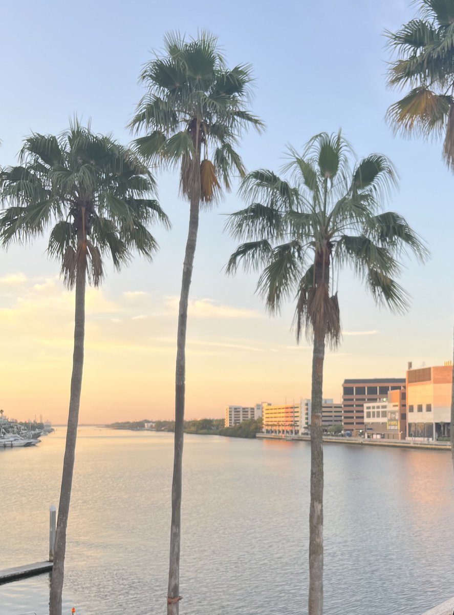 #SSO2025 off to a great start! Excited to be sharing our work looking at social vulnerability and rurality’s impact on receipt of guideline concordant care in pancreas cancer <a href="/globalsurgallie/">Allison Martin, MD MPH</a>