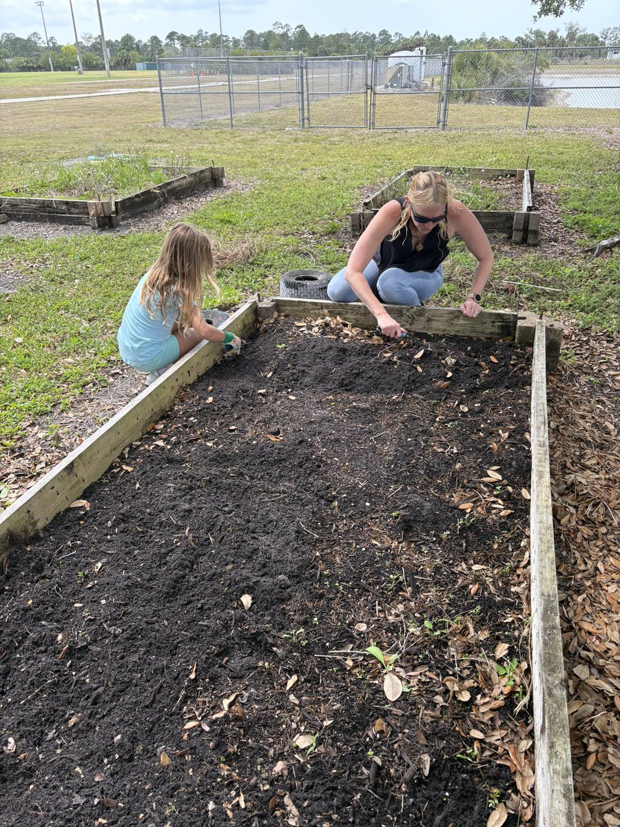 mrswaltersPE's tweet photo. My daughter’s teacher has inspired her to start her own garden at home.
What teachers teach, what they say, what they are passionate about matters. @grala_kellye you are making my daughter a better person!♥️ @SPEHAWKSNAPLES @collierschools https://t.co/ROZD1vtRJW