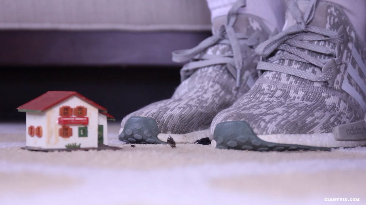 GiantVid Productions tweet media