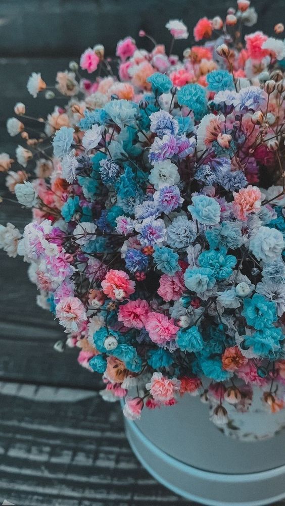 호다신 (@holaldashin) on Twitter photo 