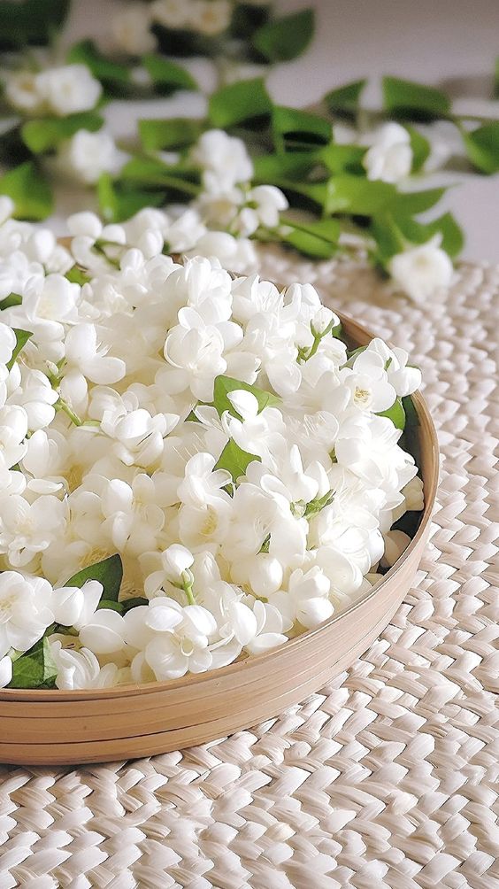 정말지친 (@jjdmkamdol0004) on Twitter photo 