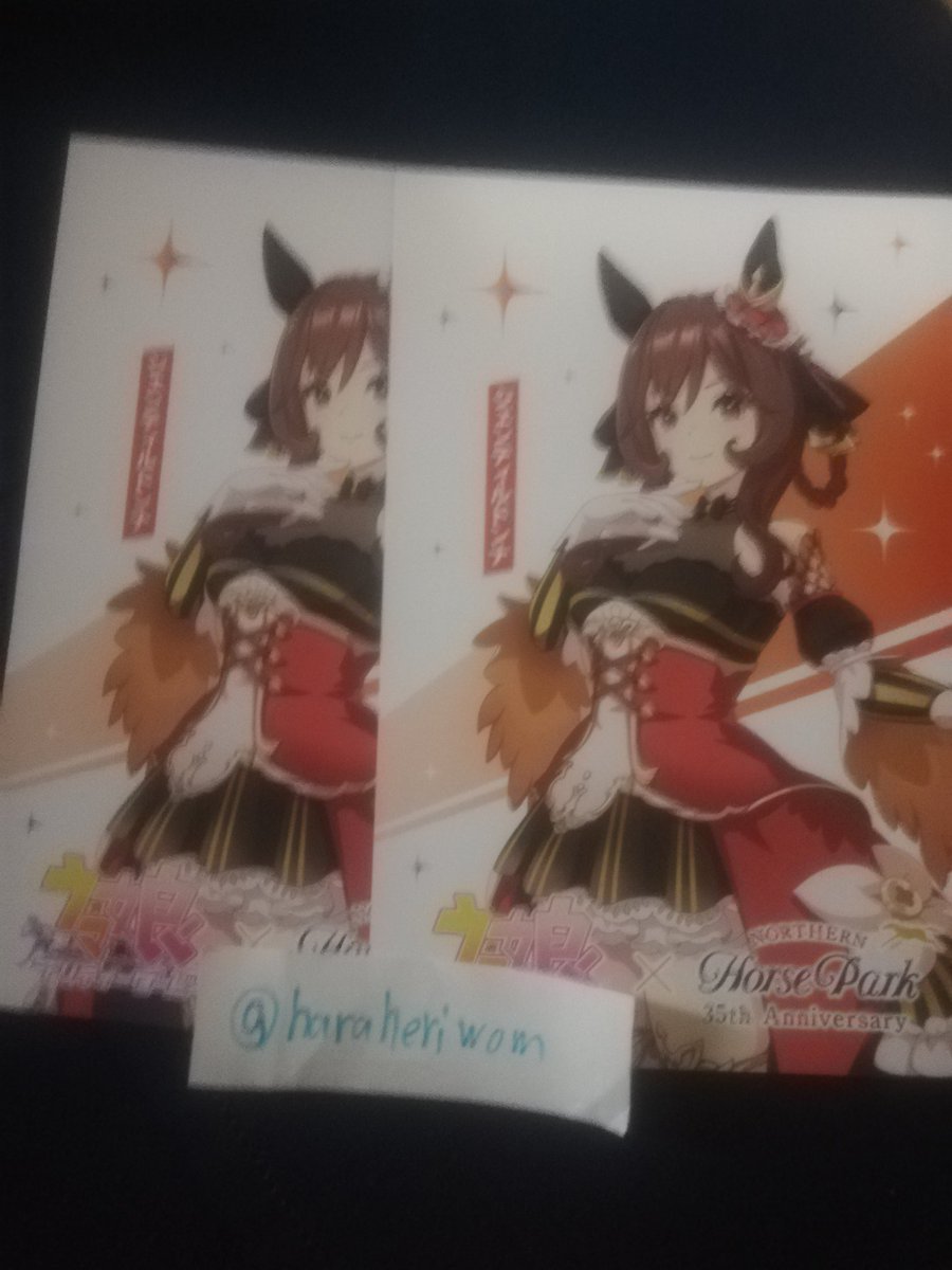 haraheriwom's tweet image. 【交換】　ウマ娘　ノーザンホースパーク　ポストカード　

譲　ジェンティルドンナ
求　ドリームジャーニー&amp;gt;オルフェーヴル、ドゥラメンテ

難しいと思いますがよろしくお願いします
検索からもお待ちしてます