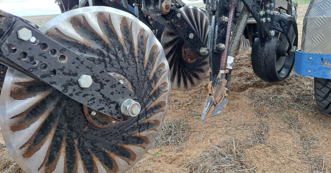 📏🚜 New article with the latest advice on sowing depth and long coleoptile wheats

🌾 Recommended sowing depths
🌾 Seed considerations
🌾 Seeder setup
🌾 Fertiliser, herbicide and fungicide implications

Plus NEW table with the coleoptile length and classification for selected