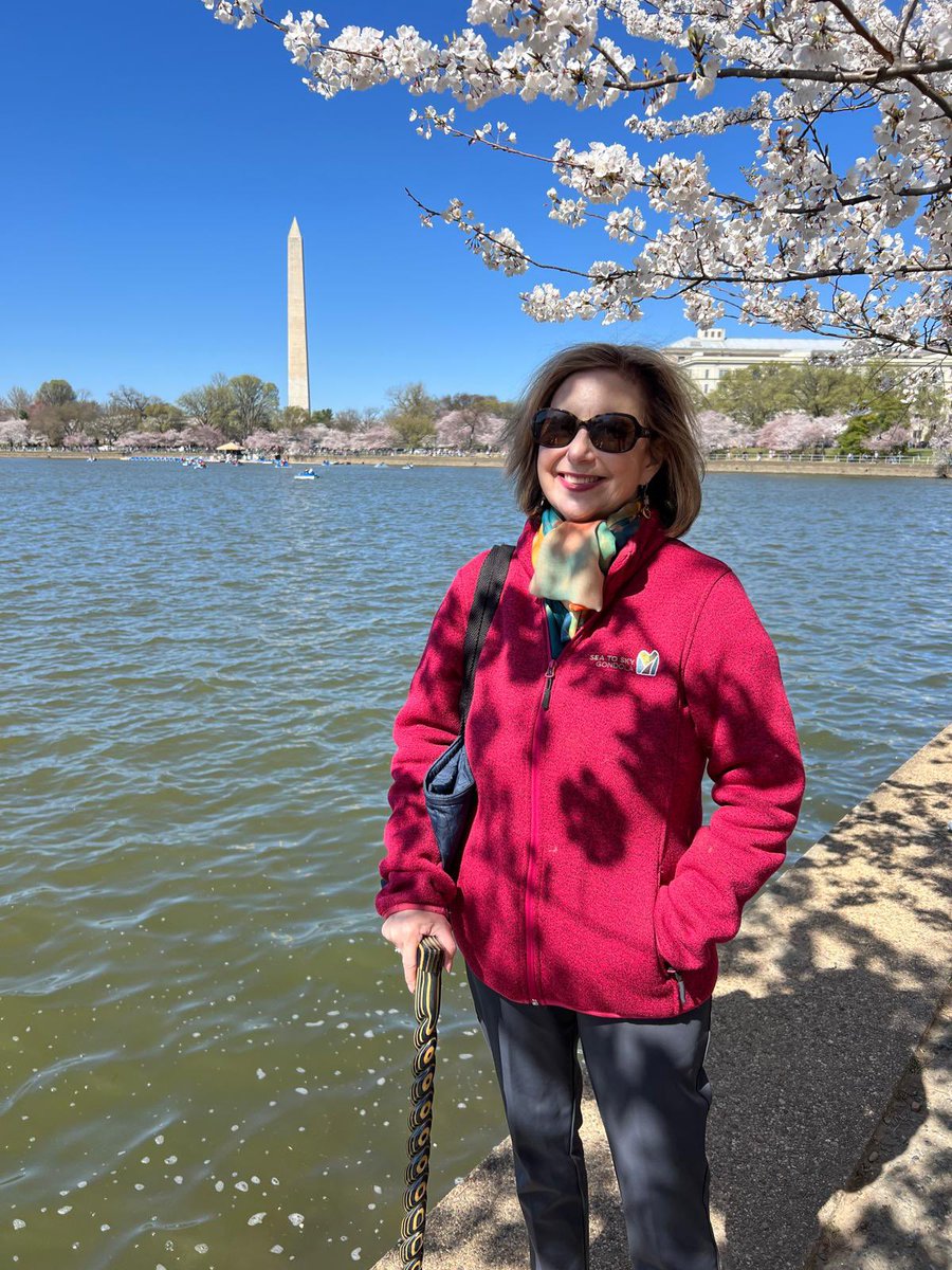 KimBlockMaine's tweet photo. A little “peek” before the “peak”!  🌸🌸
#cherryblossom #tidalbasin https://t.co/YxvnWbdNFu