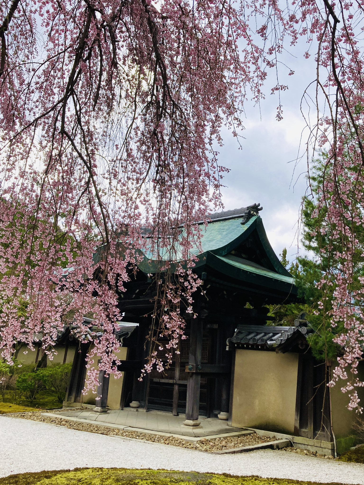 鷲峰山 高台寺 on X: 