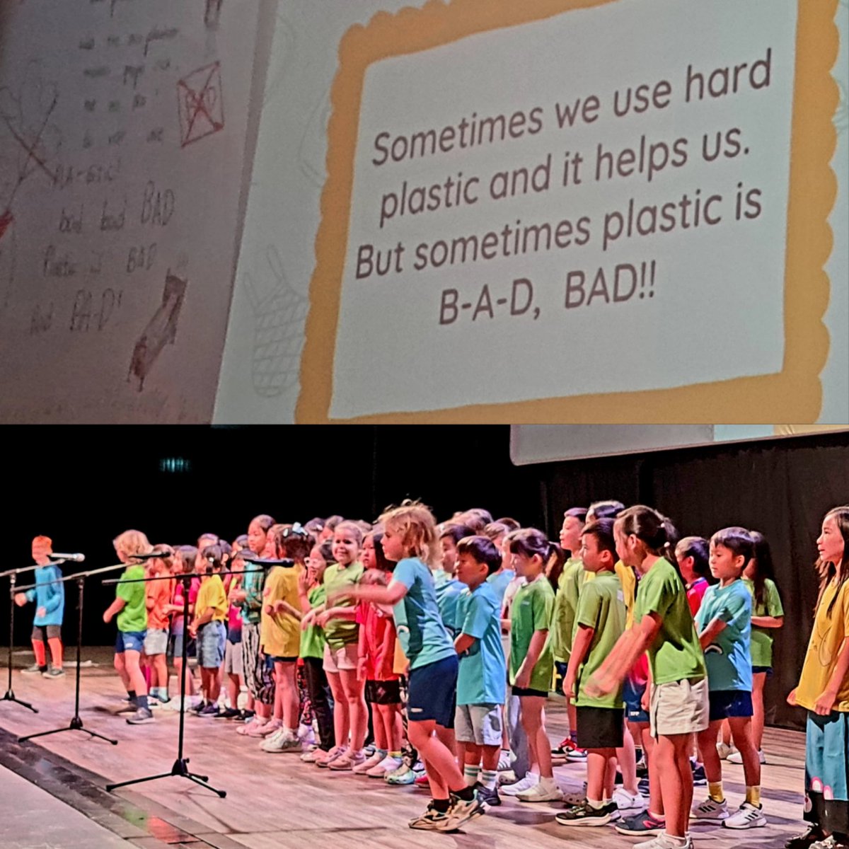 alison stanton tweet media