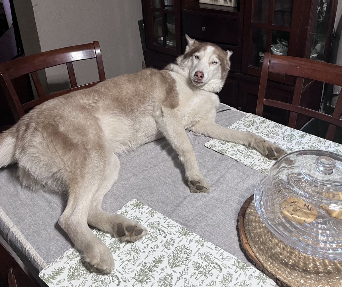 Taswell 🌸🦋✝️ tweet media