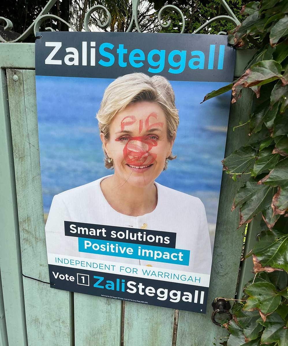 This sign in Tony Abbott's old seat was defaced by 3 women in their 60s using Chanel lipstick, which they broke in the process.

I just looked it up, and Chanel lipstick seems to start at around $70, so it was quite an investment.