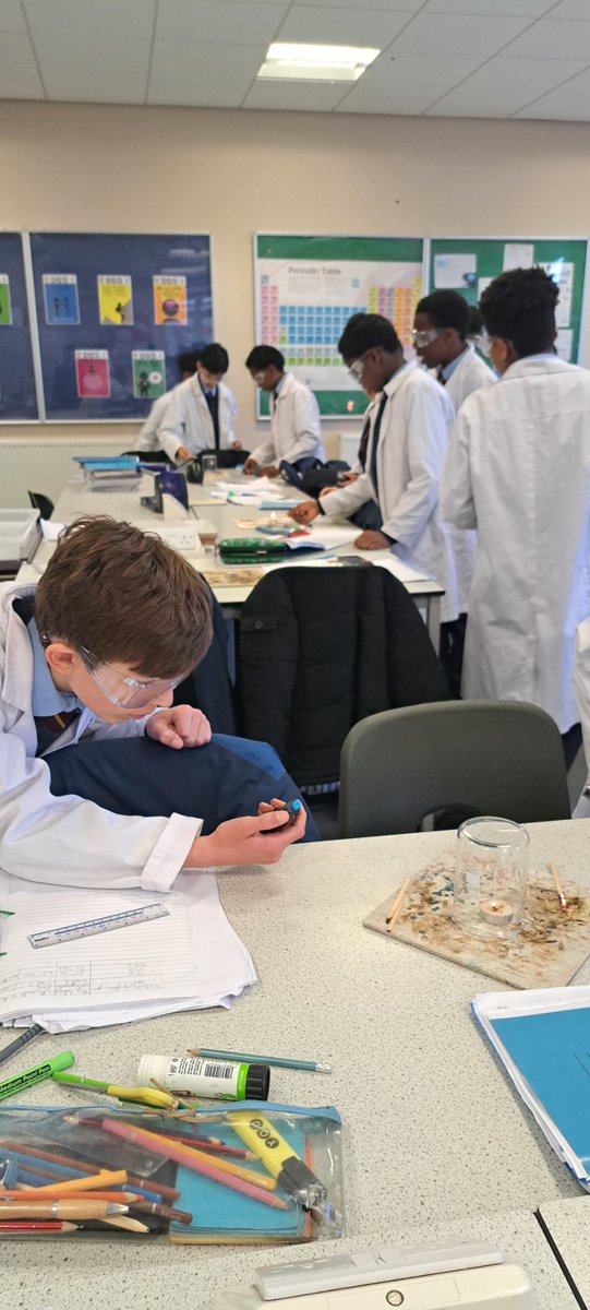 MissHarris tweet media