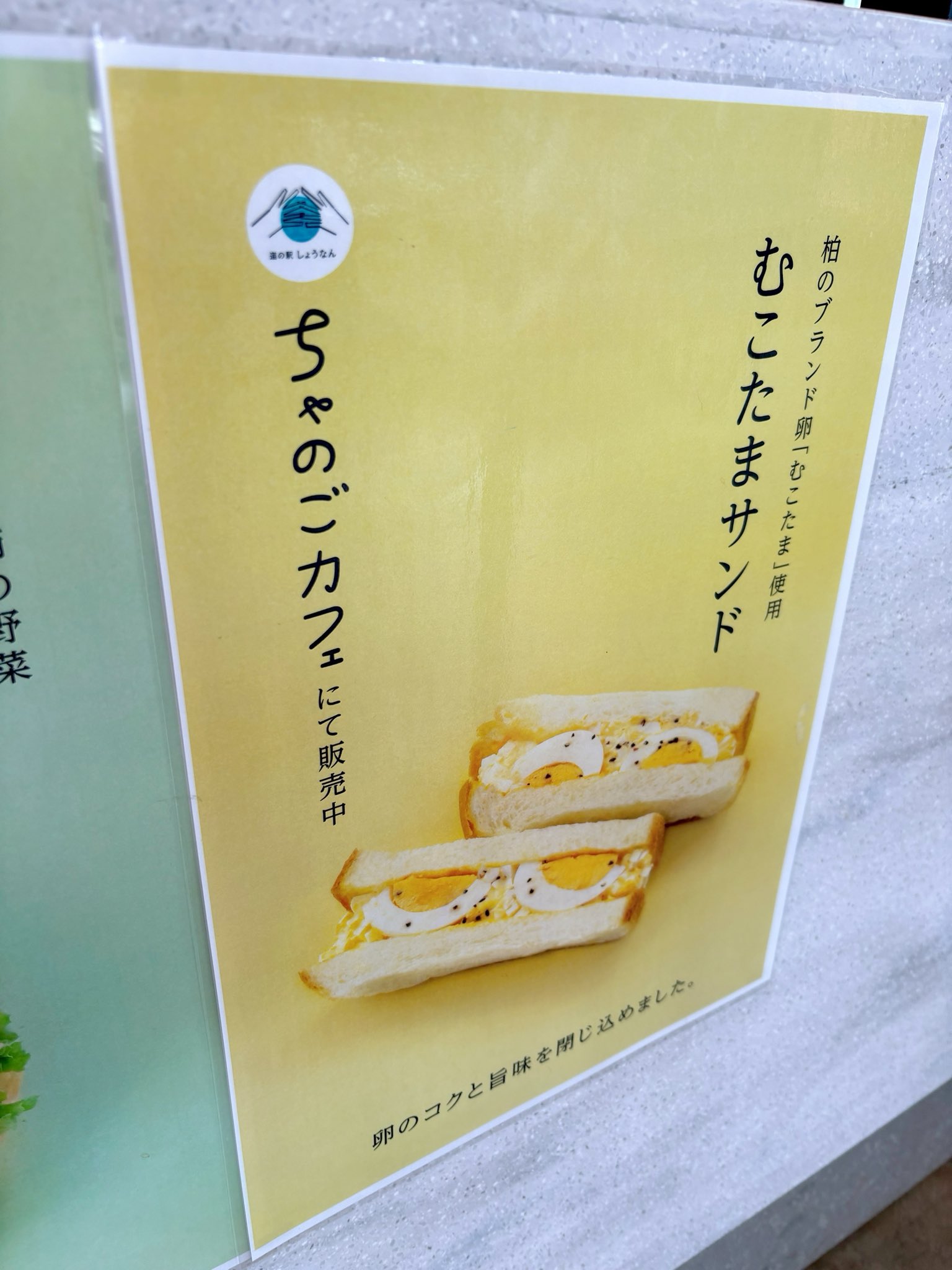 戸定 梨香（とじょう りんか）🐨🎀【VASE】千葉県ご当地VTuber