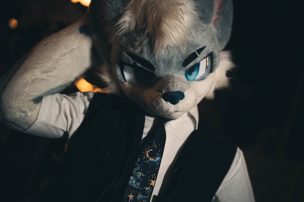 💙🐺💙