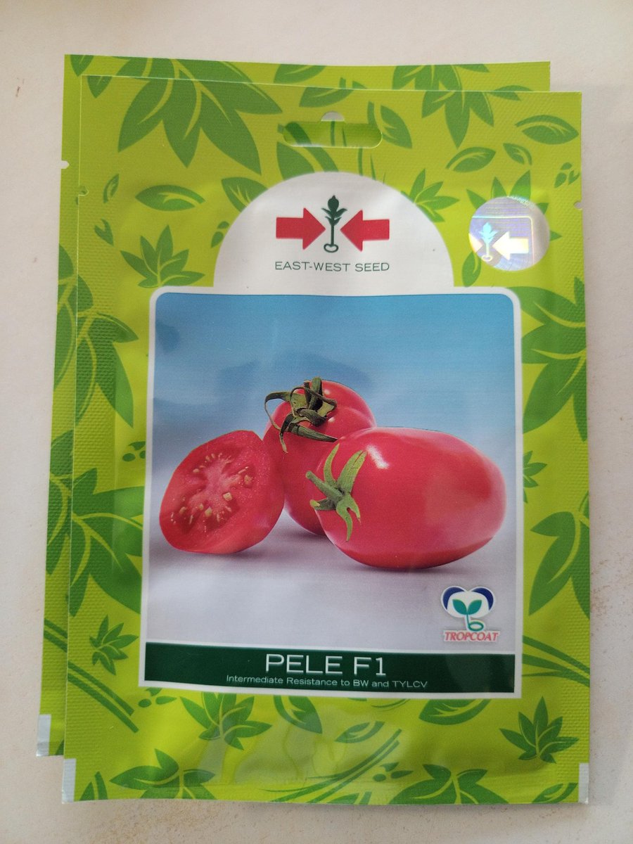 Boost your tomato 🍅 yields with Pele F1, a semi-determinate variety that's perfect for farmers.

Key Characteristics:✨

🍅Oval, deep red fruits with excellent firmness and texture.
🍅Very strong plant vigor for optimal growth.
🍅Maturity days: 70-75 days after transplanting.