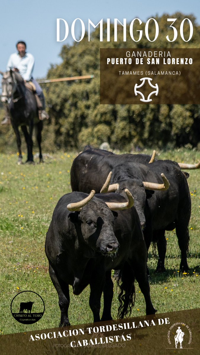 Experiencias Camino al toro. 
#turismotaurino #campo #Salamanca