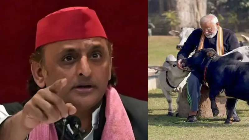 বিজেপি দুর্গন্ধ পছন্দ করে, তাই গোশালা তৈরি করছে: অখিলেশ যাদব