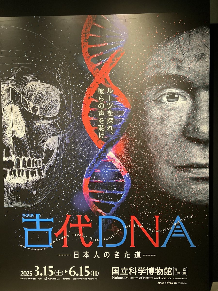 行ってまいりました。今回は時間たっぷり用意して音声案内付きでじっくり観て常設展も観て回ったので悔いなし 