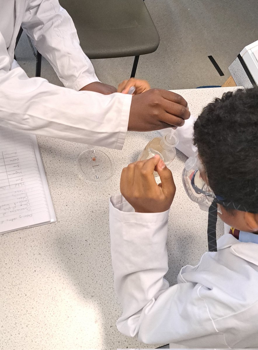 7C studying the chemical reactions between different metals and hydrochloric acid 🫧 <a href="/DrCourtDGS/">Dr Court</a>