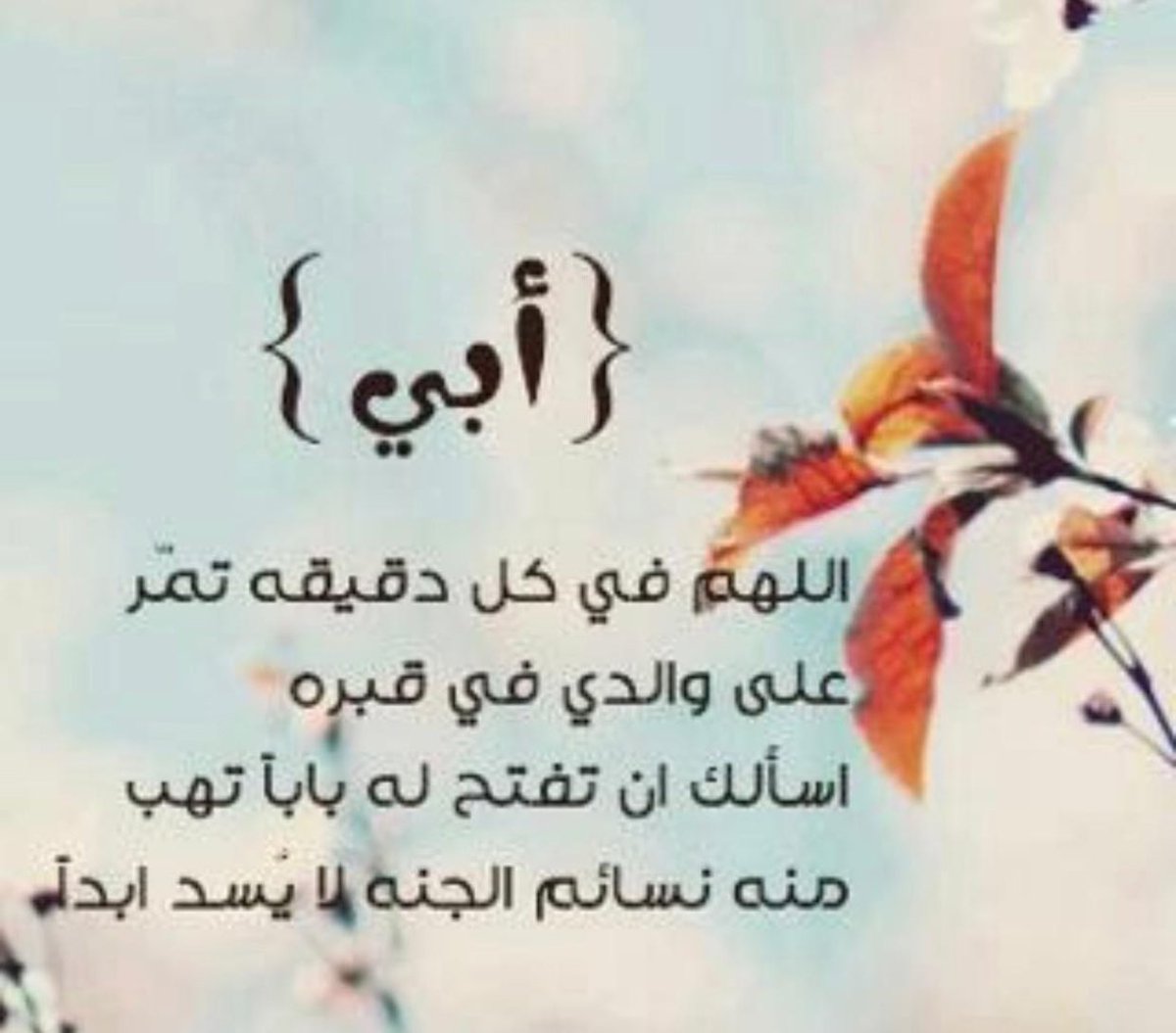 aboroderand's tweet image. 