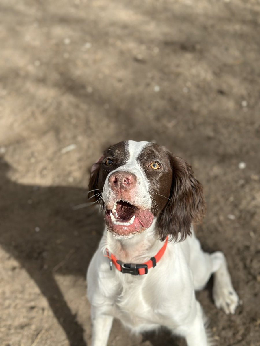 KyleLinebaugh's tweet image. Getting so big 🥺