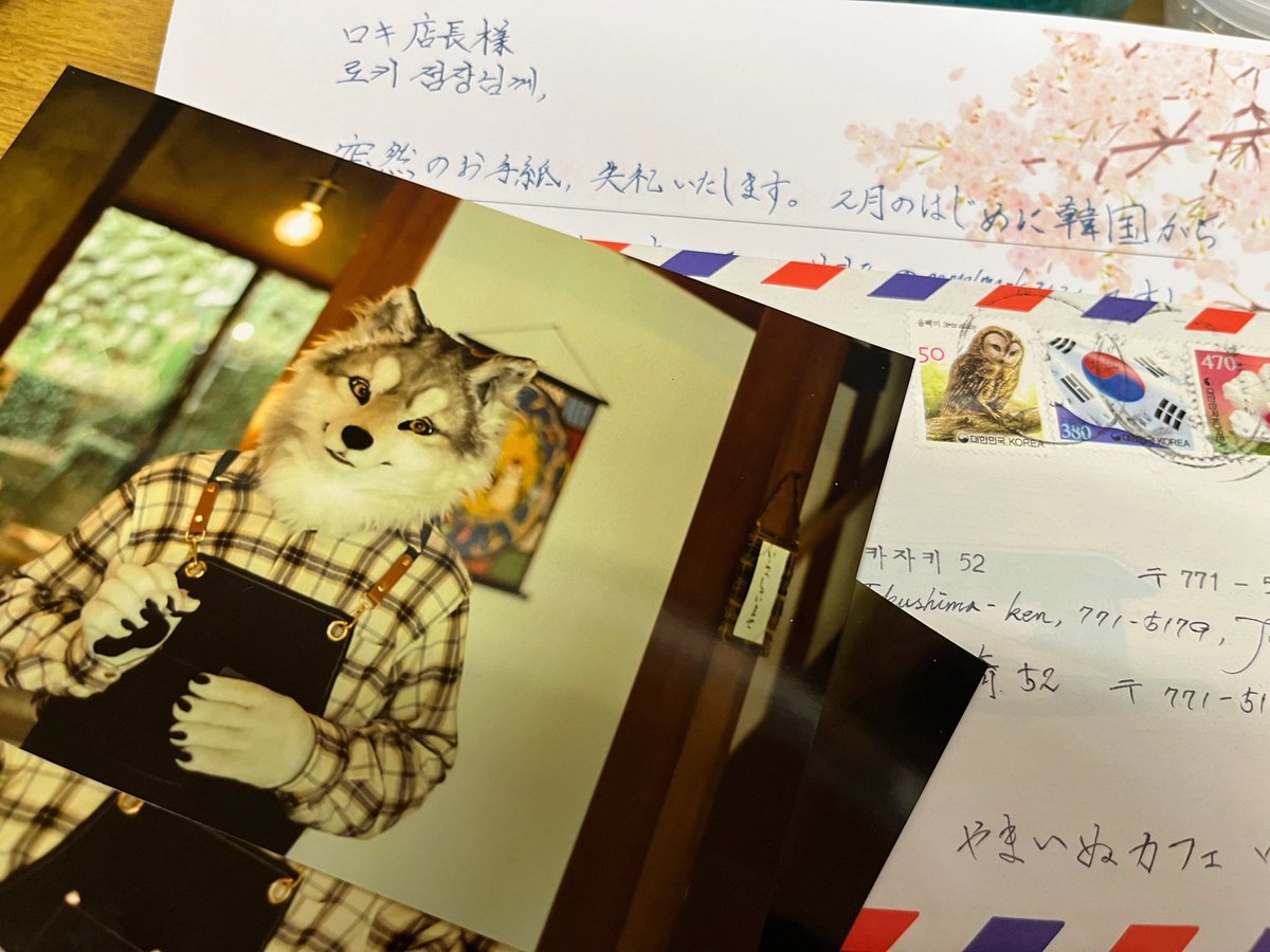 韓国からお手紙が届きました🥲✨
嬉しくて泣いちゃいました…🐺
감사합니다🐾