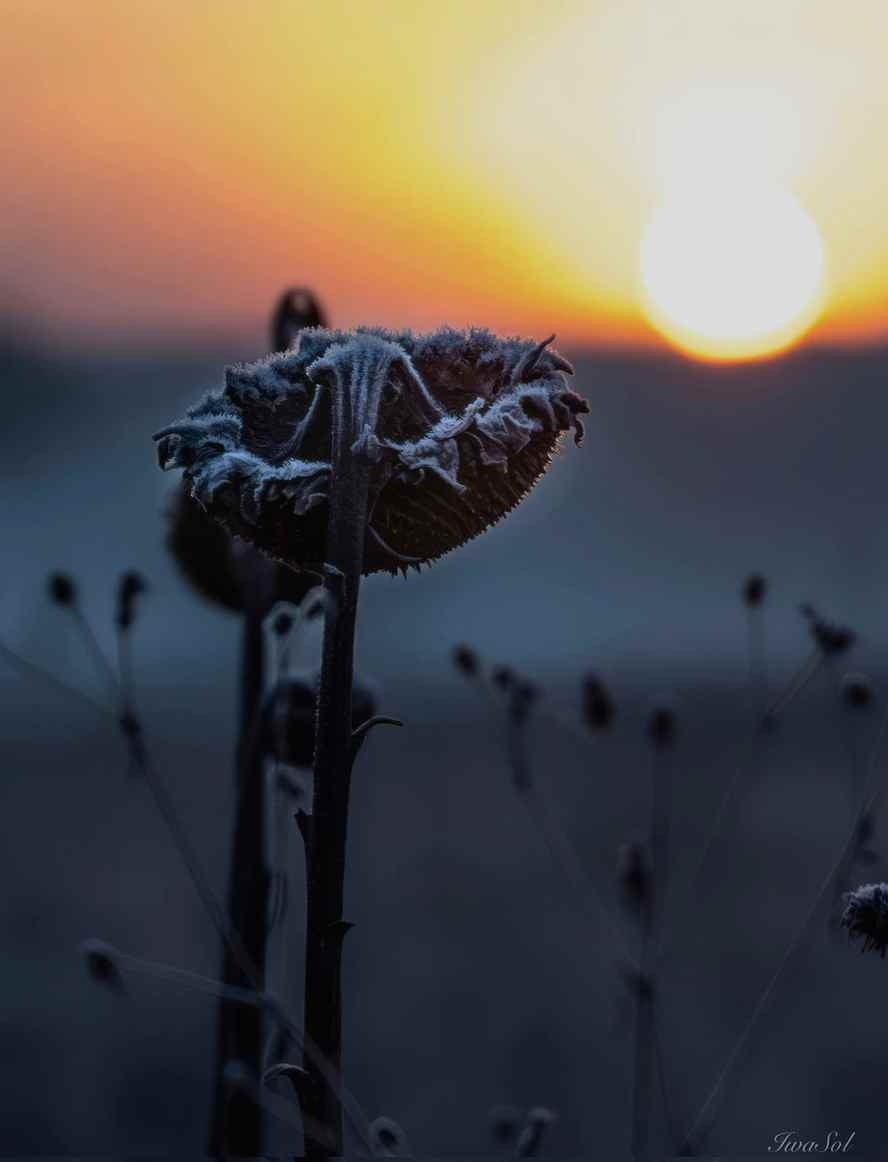 ¿Quién está moviendo el mundo hoy? ¡Es CCC alpha!