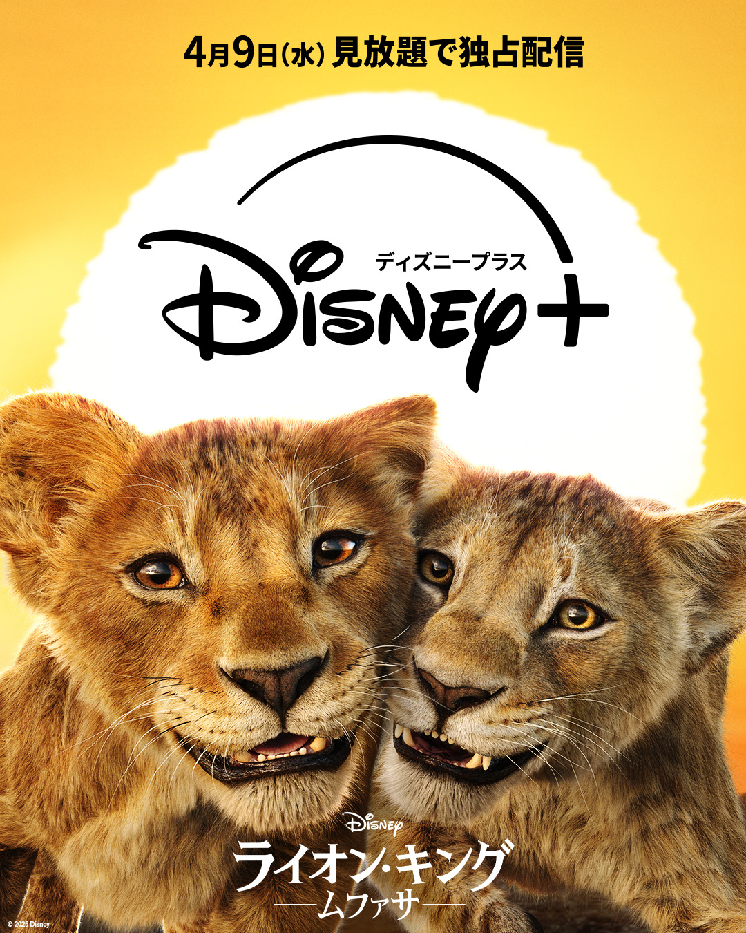 ムファサ - Search / X