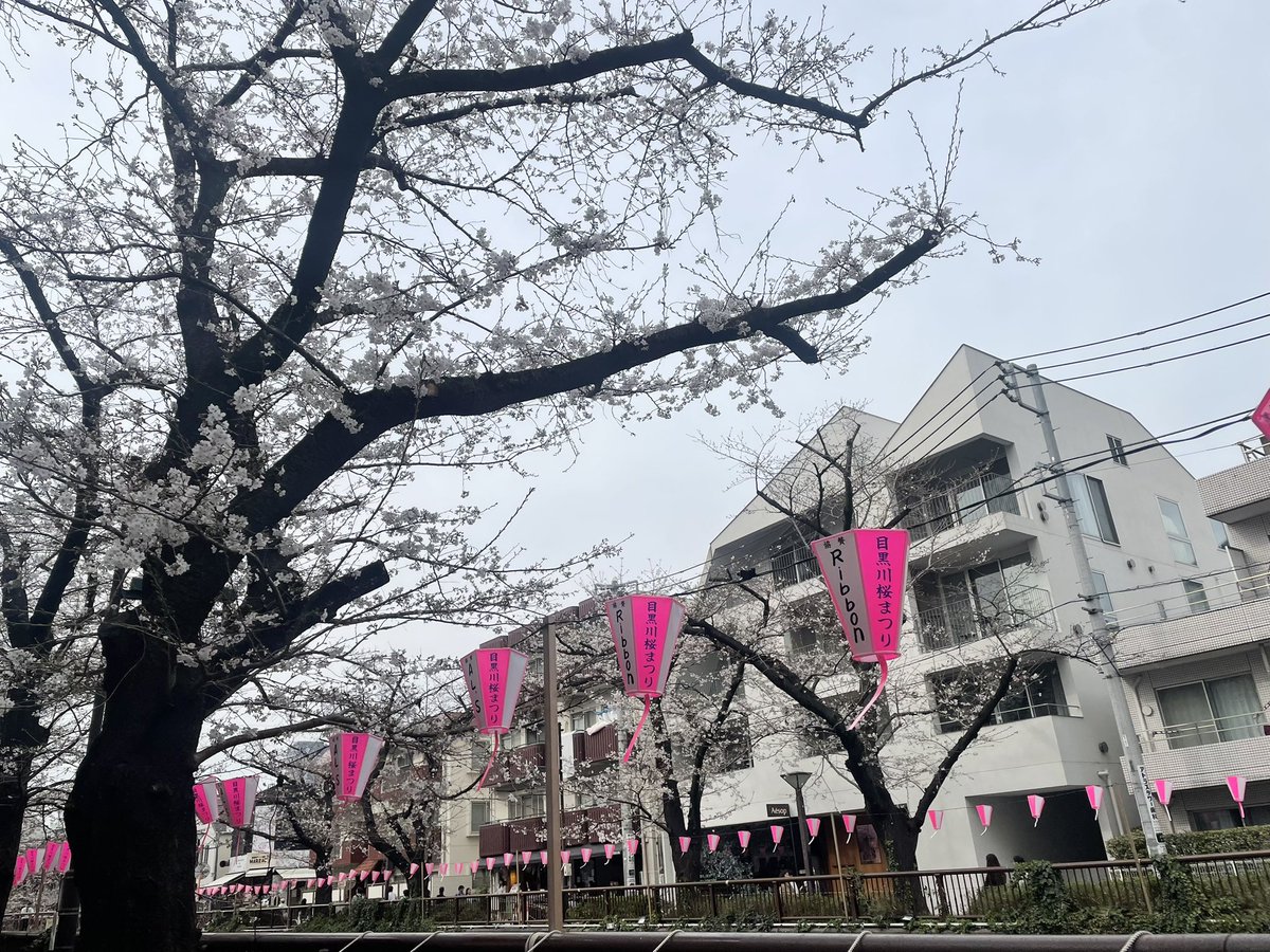 目黒川の桜も咲き始めました🌸
そんな中目黒のお花見を楽しむアイテム、目黒工芸社のナカメのぼんぼり。目黒川にたくさん並んでいるあのぼんぼりがキーホルダーになりました！お花見の思い出に、お土産としていかがでしょうか？