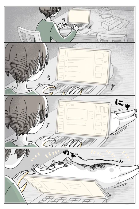 パソコン裏からのぞくネコ
https://t.co/CihaHW4svn 