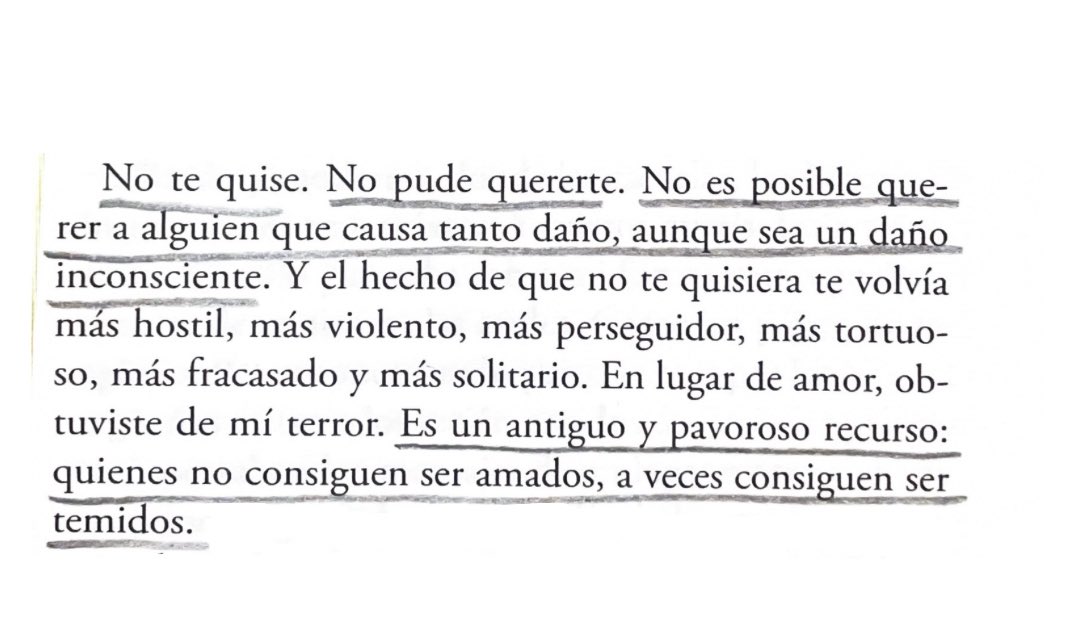 camila mermet tweet media