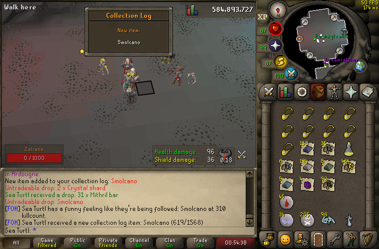 Pet #21 :)