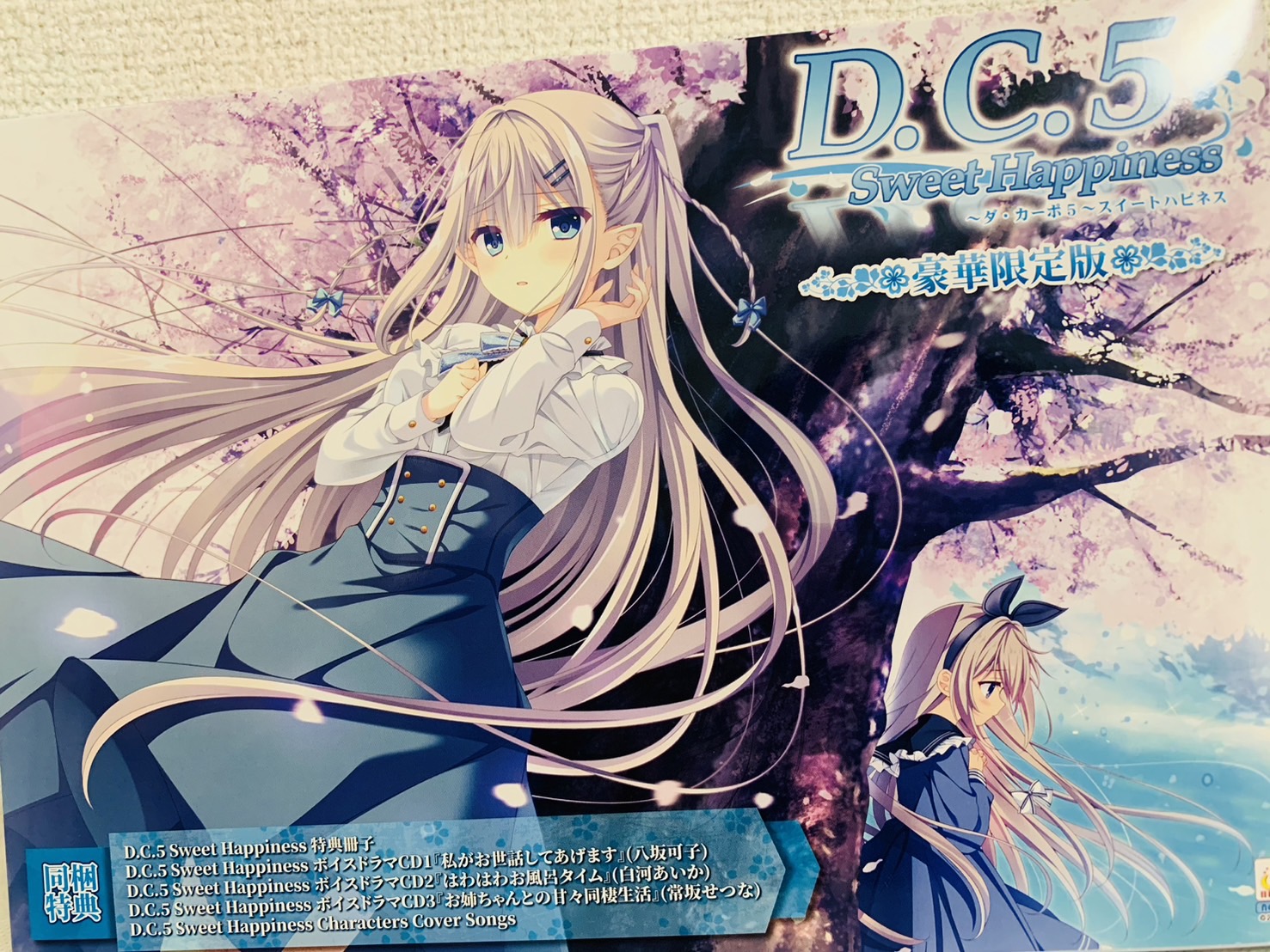 非売品】D.S. ダルセーニョ たにはらなつき 鷹乃ゆき B1