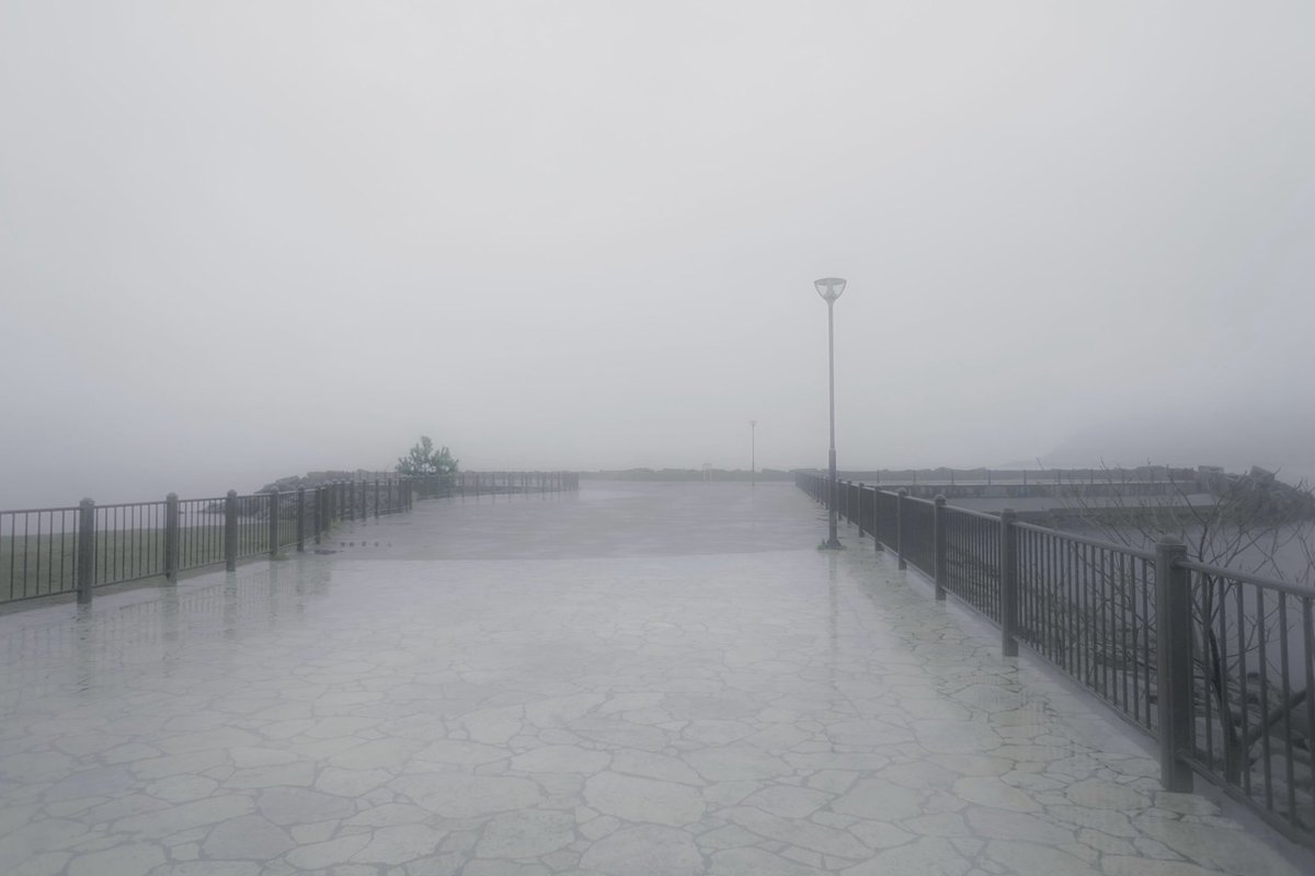 nyafu (@n55_pafu) on Twitter photo 