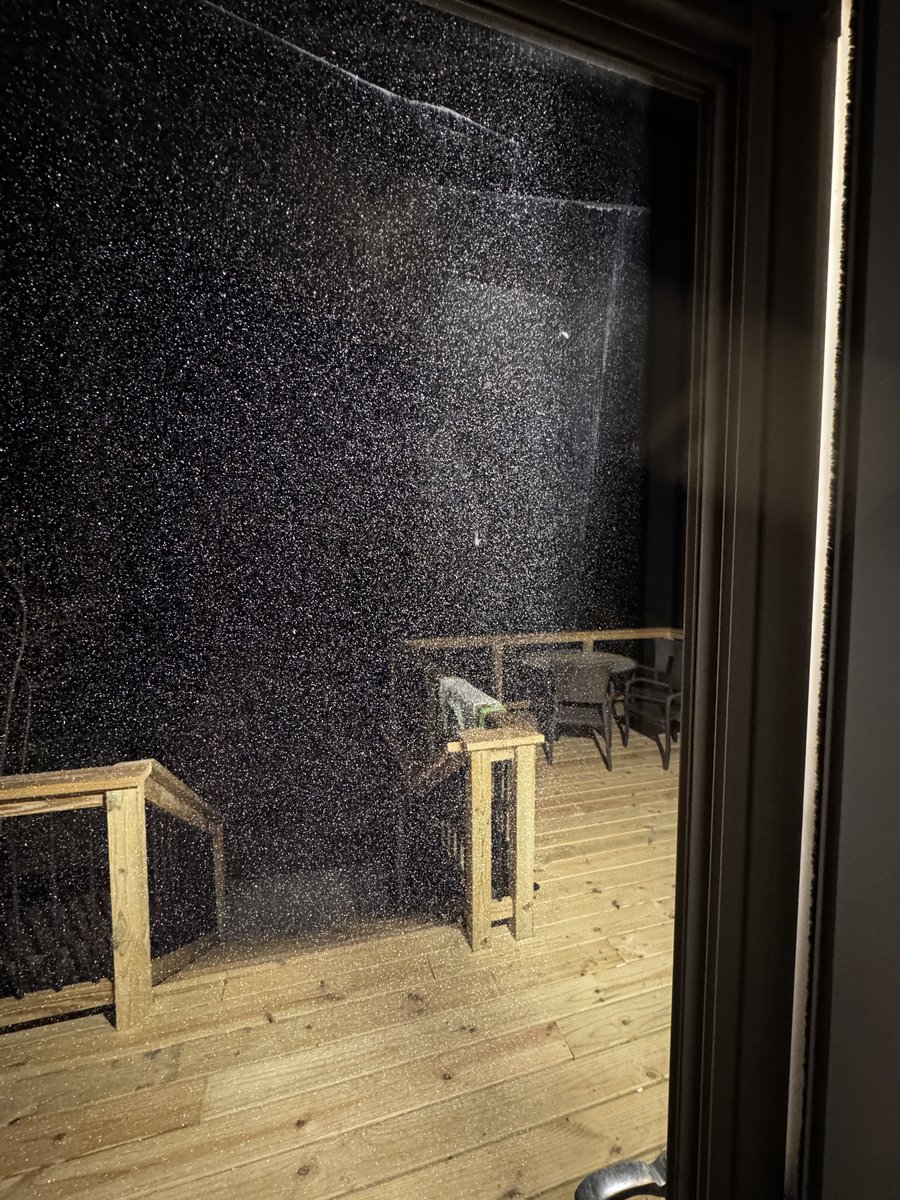 The pollen crit against my door.