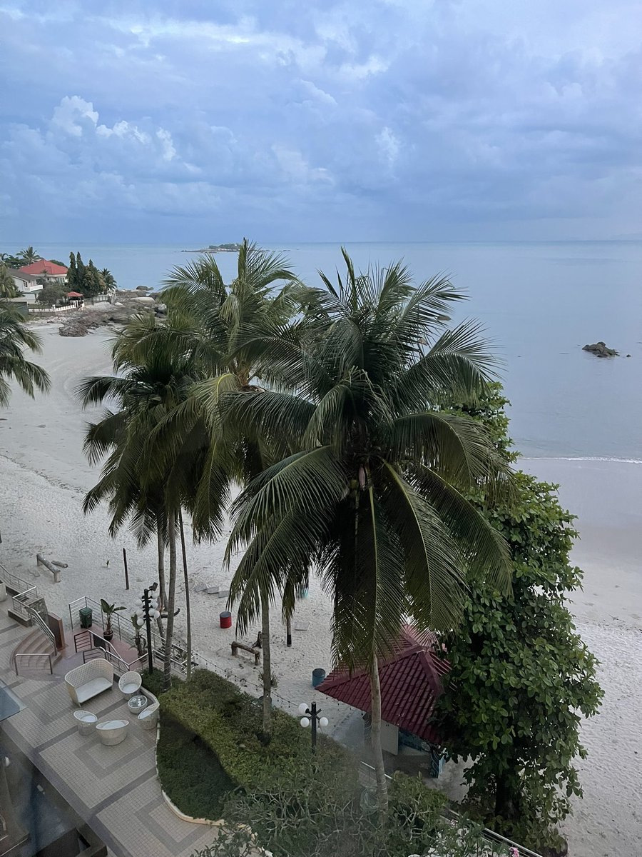Adding to these beautiful #Top4Theme #Top4PalmTrees 
With <a href="/obligatraveler/">obligatory traveler</a> 

Cartagena 
Big Bend NP
Sydney
Penang