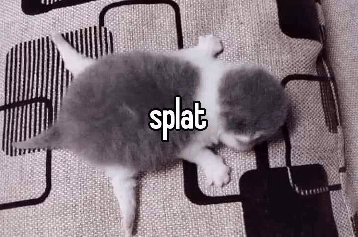 WN. the writer will be away from this account, and is currently focusing on another account. if you love me that much, i can take you along! feel free to contact me through dm or mention! ;0