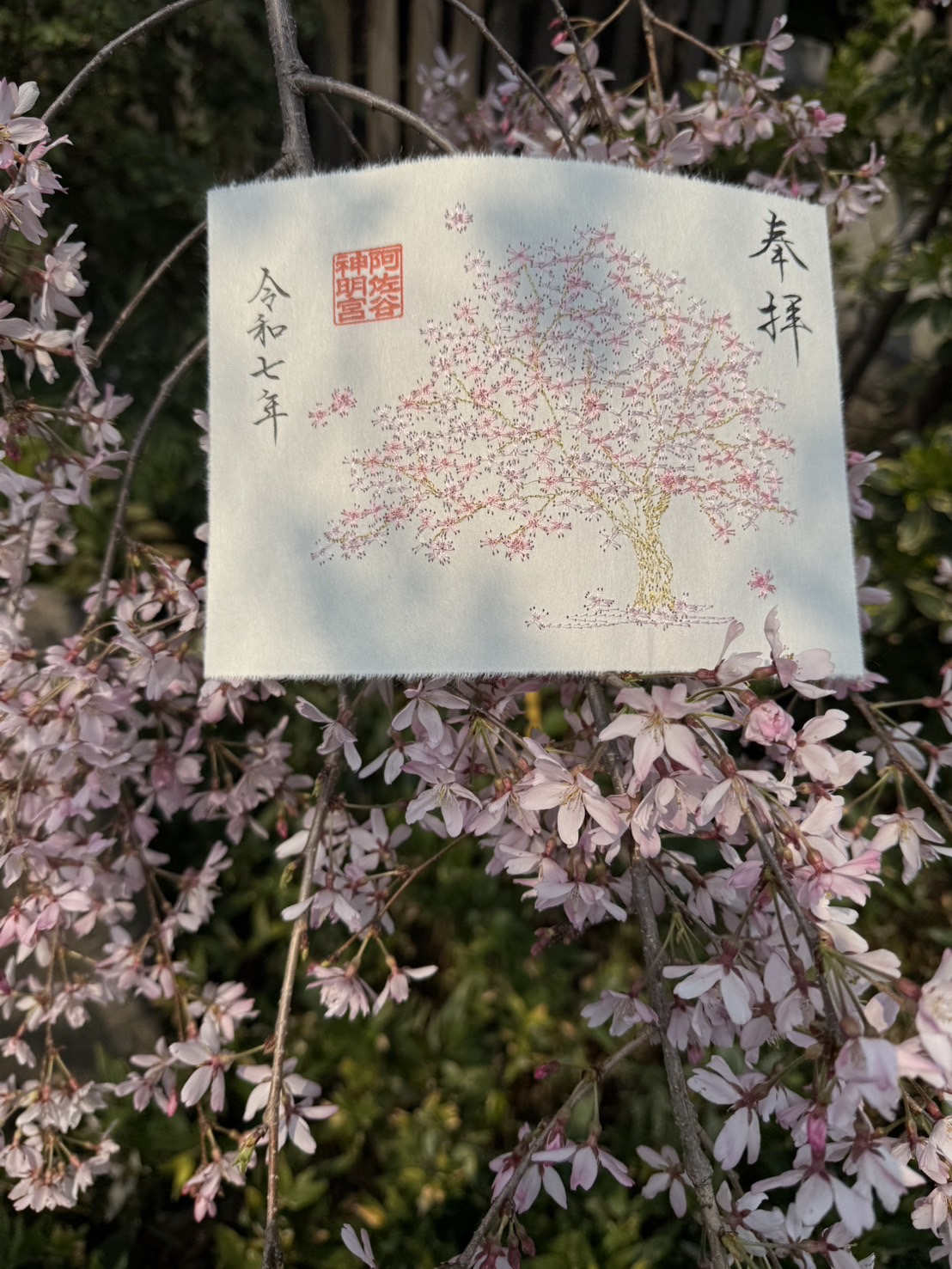 阿佐ヶ谷神明宮さま、令和7年桜4点フルセット　ラストワン 令和7年3月8日、桜の御朱印符頒布開始のお知らせ – 阿佐ヶ谷神明