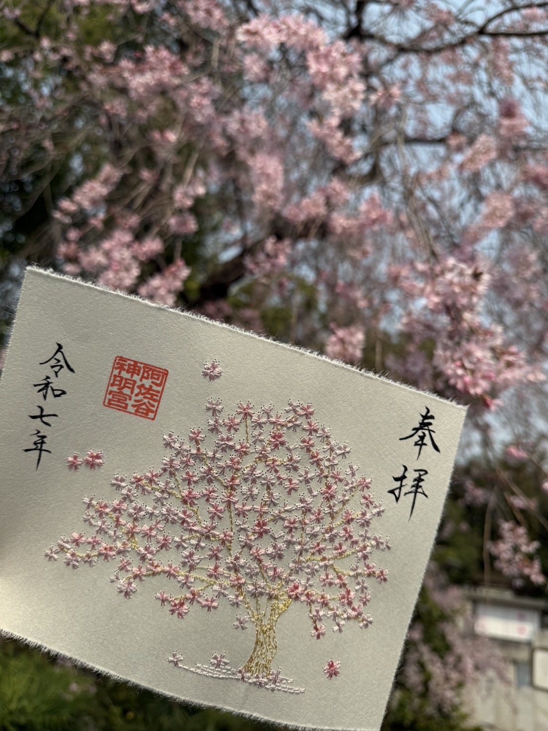 送料無料 店舗 阿佐ヶ谷神明宮 on X:  コレクション