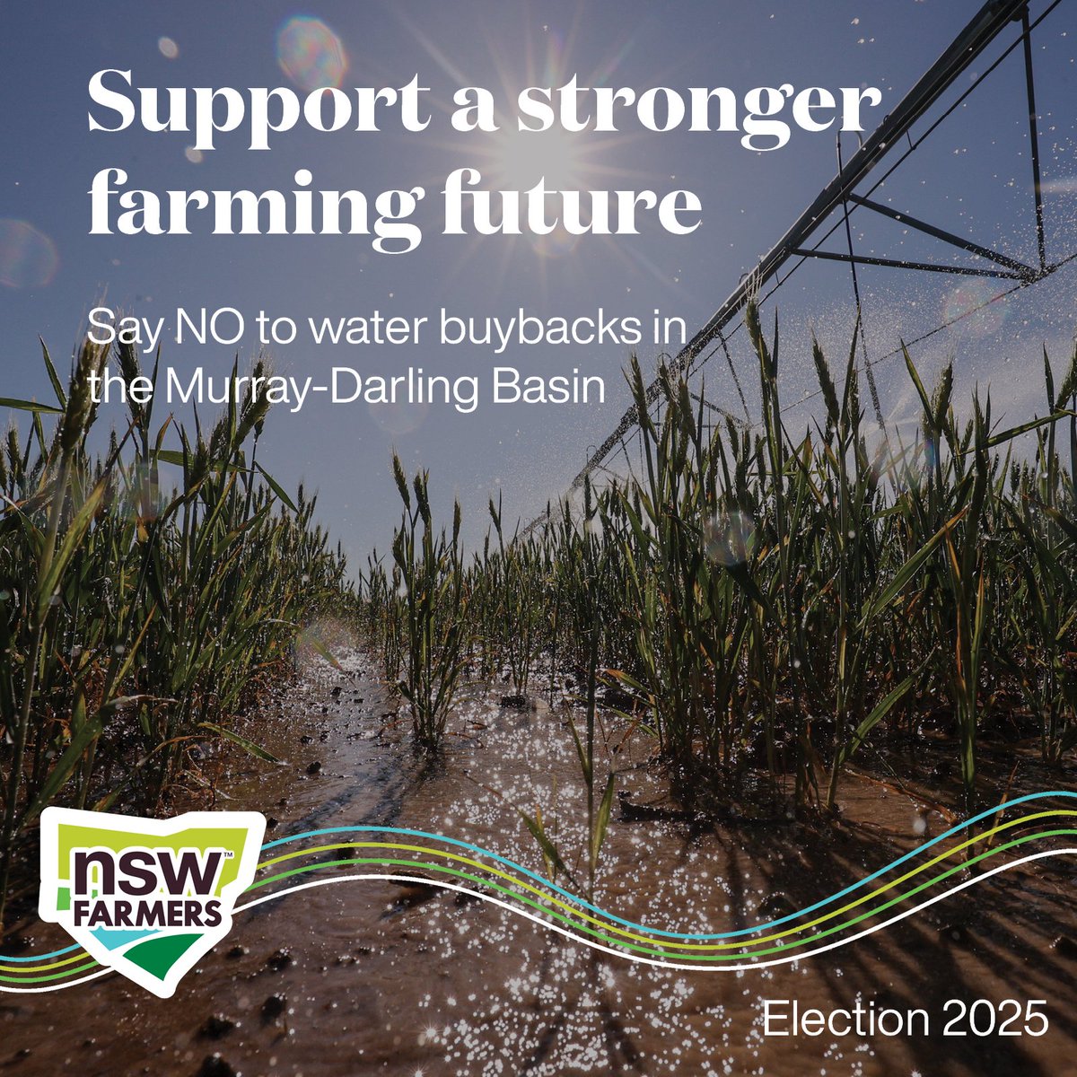 𝐒𝐮𝐩𝐩𝐨𝐫𝐭 𝐚 𝐬𝐭𝐫𝐨𝐧𝐠𝐞𝐫 𝐟𝐚𝐫𝐦𝐢𝐧𝐠 𝐟𝐮𝐭𝐮𝐫𝐞

Farmers need a smarter approach to water, not just buybacks that cripple production. Use your vote to support a stronger farming future on May 3.