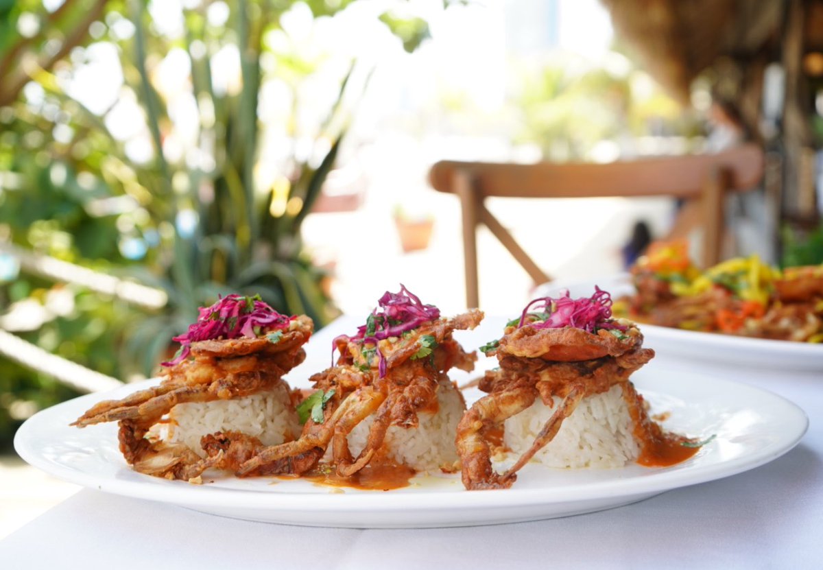 sindiversion tweet media