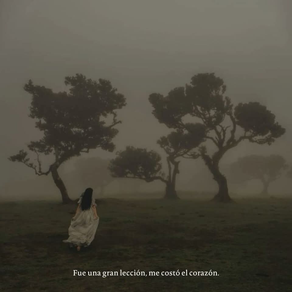 Lonely🥀 (@angelo_uf) on Twitter photo 