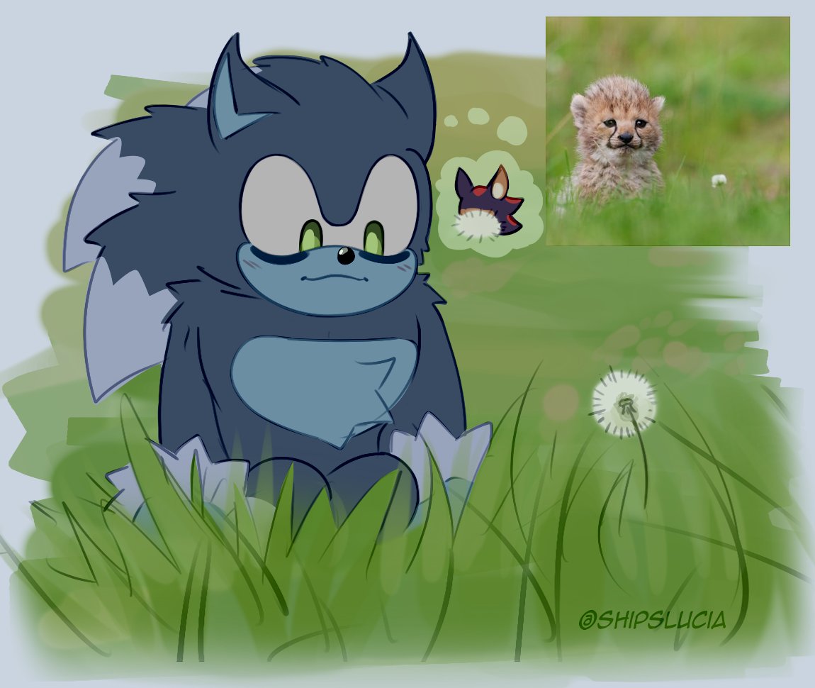 ShipsLucia's tweet photo. Beautiful, beautiful, beautiful...Beautiful boys~🖤💙❤️🩵 #Sonadow #Wolf #Bat https://t.co/8h6l75ZU1o