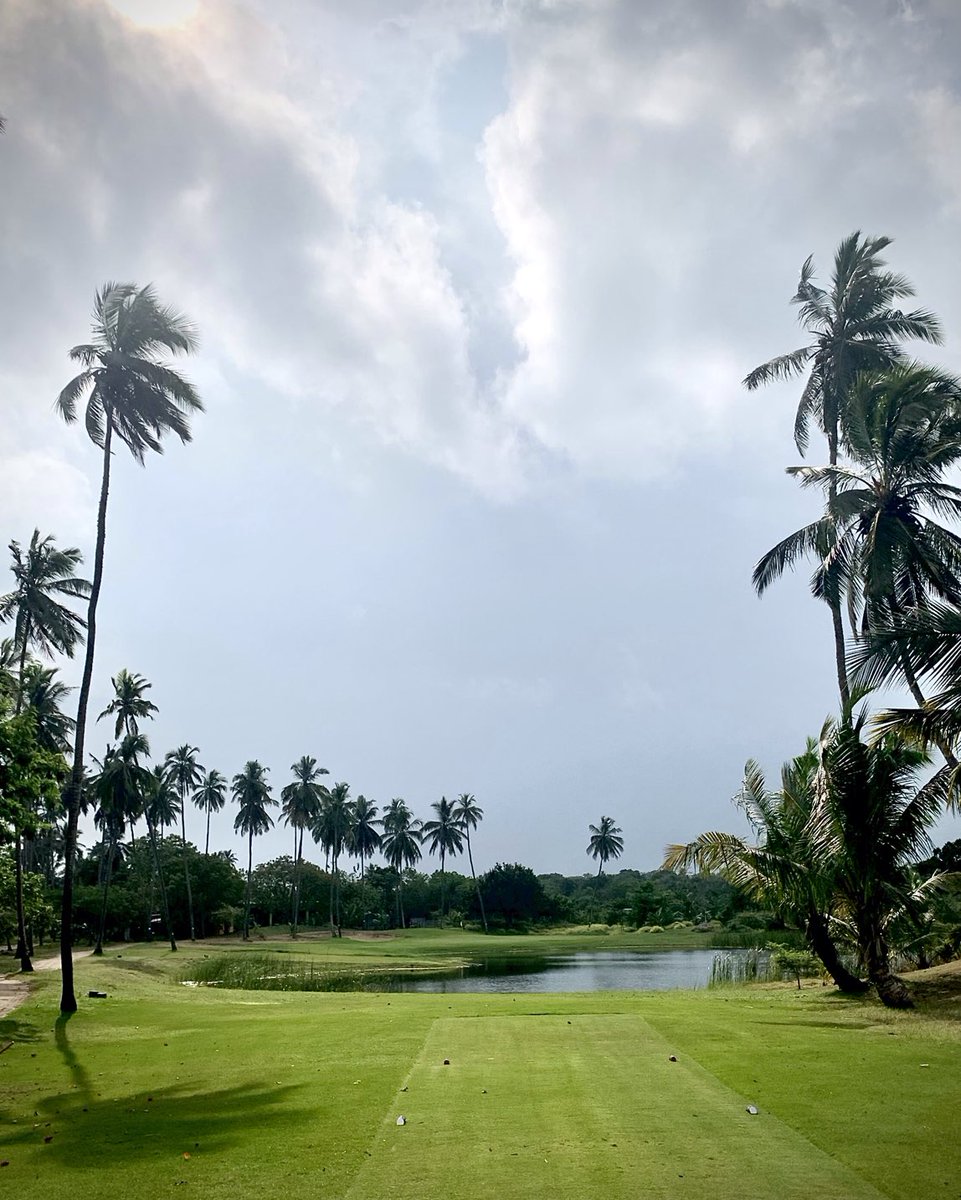 andywaple tweet media