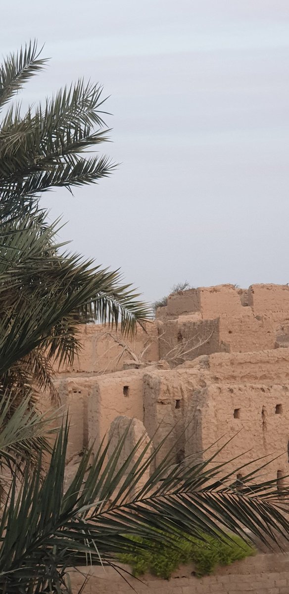 وأَسألكَ بنورِ وجهكَ الذي أَشرقت لهُ كل الظُلمات أن تُضيء لَنا الطَريق أينمَا إتجَهنا.✨