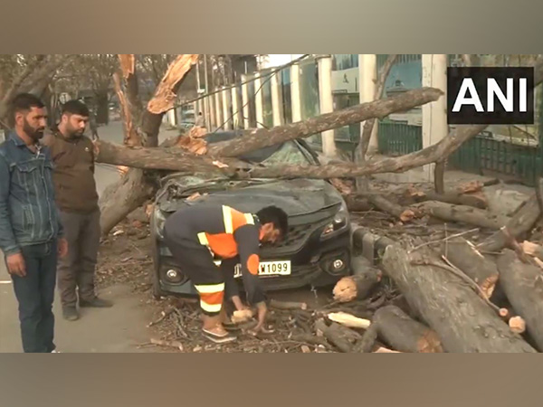 ani_digital's tweet photo. J-K: Several trees uprooted across Srinagar due to strong winds, cleanup operations underway
Read @ANI Story l https://t.co/gdhZMIuNfC
#Srinagar #JammuKashmir #CleanupOperations https://t.co/tW4zBQzXvF