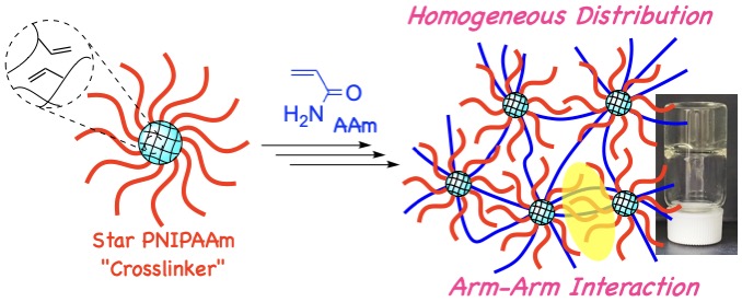 Shohei Ida / 伊田翔平 (@ida_shohei) on Twitter photo I'm very glad to share our new paper in <a href="/PolymChem/">Polymer Chemistry</a> !! Synthesis, structure and properties of hydrogels using the core of multiarm star polymers as a crosslinker!
pubs.rsc.org/en/content/art… I'm very glad to share our new paper in <a href="/PolymChem/">Polymer Chemistry</a> !! Synthesis, structure and properties of hydrogels using the core of multiarm star polymers as a crosslinker!
pubs.rsc.org/en/content/art…